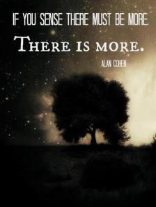 if you sense there must be more. there is more quote